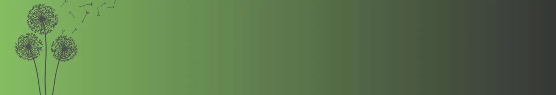 A green background and some plant seeds flying