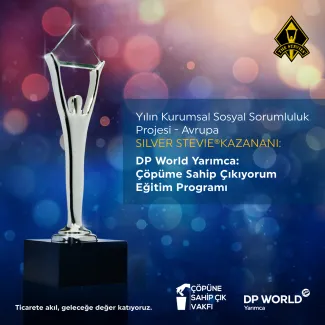 Stevie gümüş ödülü.