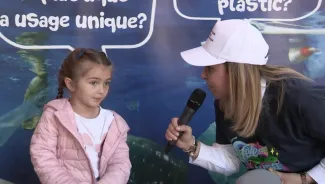 Fete du Musee, Monaco